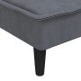 Sofá diván de terciopelo gris oscuro de vidaXL, Divanes - Ref: Foro24-352845, Precio: 136,95 €, Descuento: %