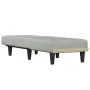 Sofá diván de terciopelo gris claro de vidaXL, Divanes - Ref: Foro24-352860, Precio: 142,90 €, Descuento: %