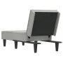 Sofá diván de terciopelo gris claro de vidaXL, Divanes - Ref: Foro24-352835, Precio: 151,03 €, Descuento: %