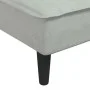 Sofá diván de terciopelo gris claro de vidaXL, Divanes - Ref: Foro24-352835, Precio: 151,03 €, Descuento: %