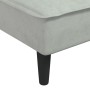 Sofá diván de terciopelo gris claro de vidaXL, Divanes - Ref: Foro24-352835, Precio: 125,13 €, Descuento: %
