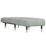 Sofá diván de terciopelo gris claro de vidaXL, Divanes - Ref: Foro24-352793, Precio: 163,31 €, Descuento: %