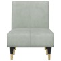 Sofá diván de terciopelo gris claro de vidaXL, Divanes - Ref: Foro24-352793, Precio: 163,31 €, Descuento: %