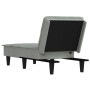 Sofá diván de terciopelo gris claro de vidaXL, Divanes - Ref: Foro24-352844, Precio: 127,66 €, Descuento: %