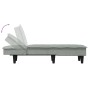 Sofá diván de terciopelo gris claro de vidaXL, Divanes - Ref: Foro24-352844, Precio: 127,66 €, Descuento: %