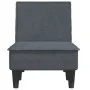 Sofá diván de terciopelo gris oscuro de vidaXL, Divanes - Ref: Foro24-352836, Precio: 158,89 €, Descuento: %