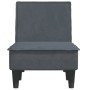 Sofá diván de terciopelo gris oscuro de vidaXL, Divanes - Ref: Foro24-352836, Precio: 161,79 €, Descuento: %