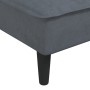 Sofá diván de terciopelo gris oscuro de vidaXL, Divanes - Ref: Foro24-352836, Precio: 161,79 €, Descuento: %