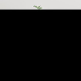 Mueble para TV de pared blanco brillante 40x34,5x80 cm en Muebles TV | Comprar online en Foru.es