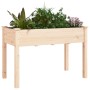 Jardinera con forro interior madera maciza abeto 118x59x76 cm de vidaXL, Maceteros y jardineras - Ref: Foro24-364233, Precio:...