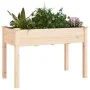 Jardinera con forro interior madera maciza abeto 118x59x76 cm de vidaXL, Maceteros y jardineras - Ref: Foro24-364233, Precio:...