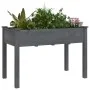 Jardinera con forro madera maciza de abeto gris 118x59x76 cm de vidaXL, Maceteros y jardineras - Ref: Foro24-364235, Precio: ...