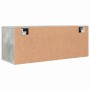 Mueble zapatero pared contrachapada gris hormigón 100x35x38 cm en Zapateros y organizadores de calzado | Comprar online en Foru.