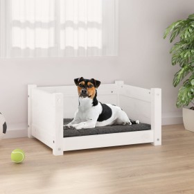Cama para perros blanca 55,5x45,5x28 cm madera maciza de pino en Camas para perros | Comprar online en Foru.es