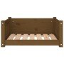 Cama para perros madera maciza pino marrón miel 65,5x50,5x28 cm en Camas para perros | Comprar online en Foru.es