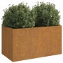 Jardinera de acero corten 62x40x39 cm en Macetas y jardineras | Comprar online en Foru.es