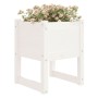 Jardinera madera maciza de pino blanco 40x40x52,5 cm en Macetas y jardineras | Comprar online en Foru.es