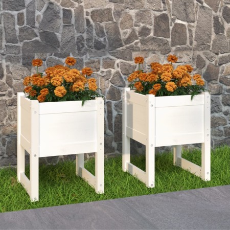 Jardinera 2 unidades madera maciza de pino blanco 40x40x52,5 cm en Macetas y jardineras | Comprar online en Foru.es