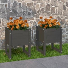 Jardinera 2 unidades madera maciza de pino gris 40x40x52,5 cm en Macetas y jardineras | Comprar online en Foru.es