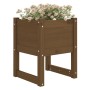 Jardinera madera maciza de pino marrón miel 40x40x52,5 cm en Macetas y jardineras | Comprar online en Foru.es
