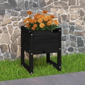 Jardinera madera maciza de pino negro 40x40x52,5 cm en Macetas y jardineras | Comprar online en Foru.es