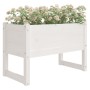 Jardinera madera maciza de pino blanco 78x40x52 cm en Macetas y jardineras | Comprar online en Foru.es