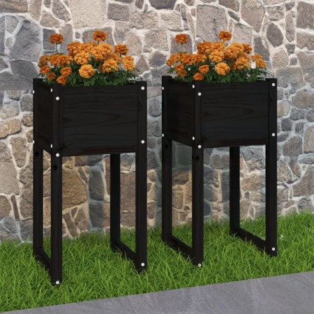 Jardinera 2 unidades madera maciza de pino negro 40x40x81 cm en Macetas y jardineras | Comprar online en Foru.es