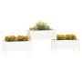 Jardinera madera maciza de pino blanco 245,5x44x75 cm en Macetas y jardineras | Comprar online en Foru.es