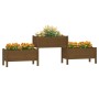 Jardinera madera maciza de pino marrón miel 245,5x44x75 cm en Macetas y jardineras | Comprar online en Foru.es