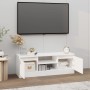 Mueble de TV con puerta blanco 102x30x36 cm en Muebles TV | Comprar online en Foru.es