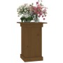 Soporte para plantas madera maciza pino marrón miel 40x40x60 cm en Soportes para macetas | Comprar online en Foru.es