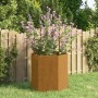 Jardinera de acero corten oxidado 40x40x45 cm en Macetas y jardineras | Comprar online en Foru.es