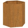 Jardinera de acero corten oxidado 40x40x45 cm en Macetas y jardineras | Comprar online en Foru.es