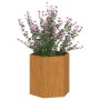 Jardinera de acero corten oxidado 40x40x45 cm en Macetas y jardineras | Comprar online en Foru.es