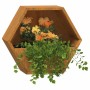 Jardineras de pared 2 uds acero corten oxidado 30x10x25 cm en Macetas y jardineras | Comprar online en Foru.es