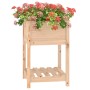 Jardinera con estante de madera maciza de pino 54x54x81 cm en Macetas y jardineras | Comprar online en Foru.es
