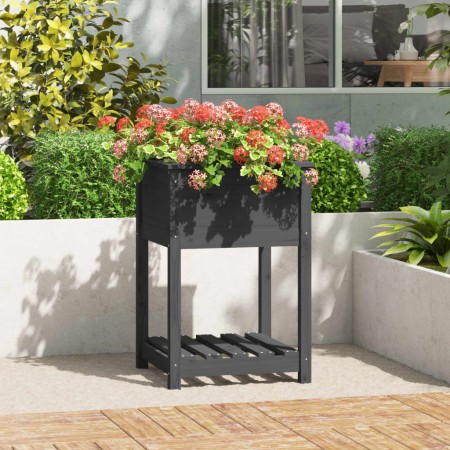 Jardinera con estante madera maciza de pino gris 54x34,5x81 cm en Macetas y jardineras | Comprar online en Foru.es