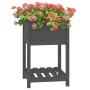 Jardinera con estante madera maciza de pino gris 54x34,5x81 cm en Macetas y jardineras | Comprar online en Foru.es