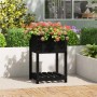 Jardinera con estante madera maciza de pino negro 54x54x81 cm en Macetas y jardineras | Comprar online en Foru.es