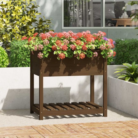 Jardinera con estante madera maciza marrón miel 82,5x54x81 cm en Macetas y jardineras | Comprar online en Foru.es
