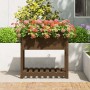 Jardinera con estante madera maciza marrón miel 82,5x54x81 cm en Macetas y jardineras | Comprar online en Foru.es