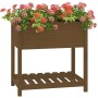 Jardinera con estante madera maciza marrón miel 82,5x54x81 cm en Macetas y jardineras | Comprar online en Foru.es