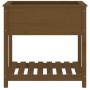 Jardinera con estante madera maciza marrón miel 82,5x54x81 cm en Macetas y jardineras | Comprar online en Foru.es