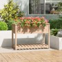 Jardinera con estante de madera maciza de pino 111,5x54x81 cm en Macetas y jardineras | Comprar online en Foru.es