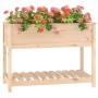 Jardinera con estante de madera maciza de pino 111,5x54x81 cm en Macetas y jardineras | Comprar online en Foru.es