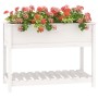 Jardinera con estante madera maciza pino blanca 111,5x54x81 cm en Macetas y jardineras | Comprar online en Foru.es