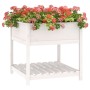 Jardinera con estante madera maciza pino blanca 82,5x82,5x81 cm en Macetas y jardineras | Comprar online en Foru.es