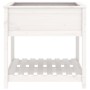 Jardinera con estante madera maciza pino blanca 82,5x82,5x81 cm en Macetas y jardineras | Comprar online en Foru.es