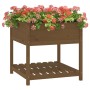 Jardinera con estante madera maciza pino marrón 82,5x82,5x81 cm en Macetas y jardineras | Comprar online en Foru.es