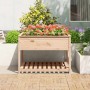 Jardinera con estante madera maciza de pino 111,5x111,5x81 cm en Macetas y jardineras | Comprar online en Foru.es